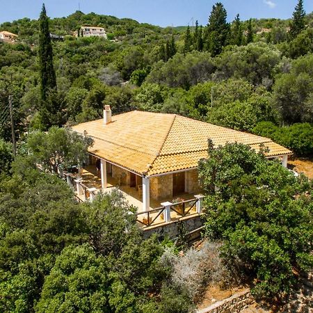 Storeali Skinária المظهر الخارجي الصورة