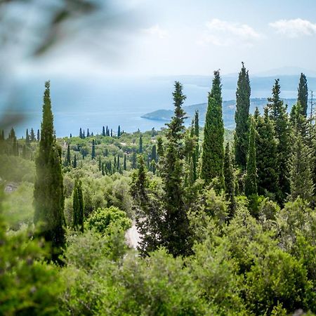 Storeali Skinária المظهر الخارجي الصورة